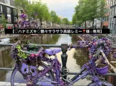 【♡ハナミズキ♡艶々サラサラ高級レミー❣️様⭐︎専用】