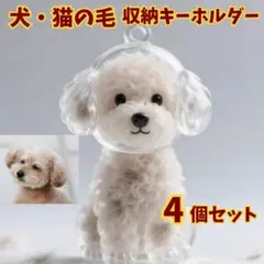 Item thumbnail for item 0f901b9d-5b81-41e5-a98e-c3157e3ac91b