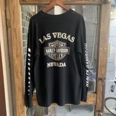 90s USA製 Harley-Davidson ロンT HOLOUBEK