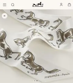 新品❗️エルメス ツイリー 《自由の馬》 - メルカリ