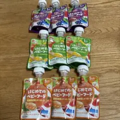 離乳食　ベビーフードパウチ 70g