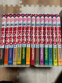 彼方から ひかわきょうこ 全巻セット