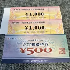 【ビックカメラ/ヤマダ】株主優待　優待券　2,500円分　おまけつき