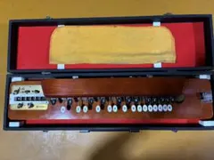 琴伝流 大正琴 月光 ハードケース ピック付き 琴 - メルカリ