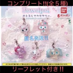 ジュエルペット めじるしアクセサリー キラキラオーロラver.