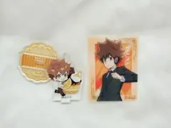 家庭教師ヒットマンREBORN 沢田綱吉 アニメイト アクキー アクスタ 特典