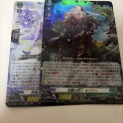 冥刻に舞う夜薔薇 ノーマル仕様 - メルカリ