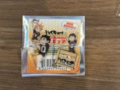ハイキュー　ゲンガタイカン　ハイキュー展　アクリル　mini 赤葦　①