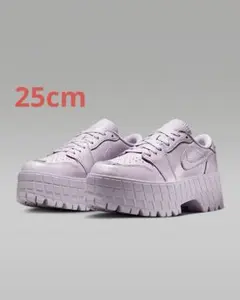 25cmナイキウィメンズエア ジョーダン 1 ブルックリン