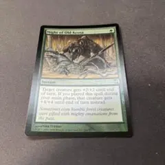 ②MTG foil 《古きクローサの力/Might of Old Krosa》