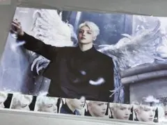 &TEAM MAKI フォトカード Back to Life