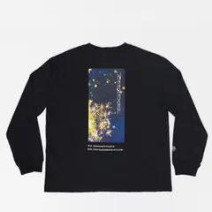 Item thumbnail for item 97c85c93-e564-4301-8c5c-4e944e11923a