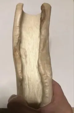 Item thumbnail for item e30ab24a-8639-4ce2-8bf5-60bb9e1fb538