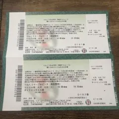 린쿠 불꽃놀이 티켓 6/6 10000 ✖️ 2