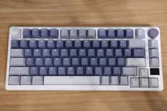 Royal Kludge RK-M75 メカニカルキーボード