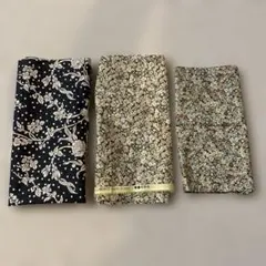 Item thumbnail for item c95b4e0d-b6db-4e32-bdc7-6c49781bc273