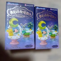 ポケットモンスター　夢見る月夜の星散歩　２種