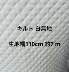 Item thumbnail for item 17707f5e-fb1f-4238-842a-98f25dc33064