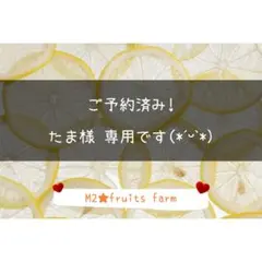 【ꕤ643】不知火デコ【訳あり品☆加工原料】20kg 熊本みかん