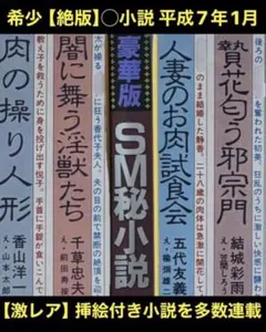 絶版】マニアH20年11月 結城彩雨 佳奈淳 前田寿按 楡畑雄二 椋陽児