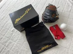 ぽんちゃん様専用Mizuno Pro 軟式キャッチャーミット　オーダー
