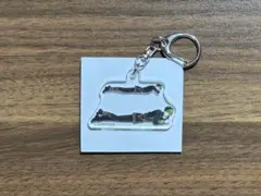シクフォニ ランダムアクリルキーホルダー 人文字ver. すち