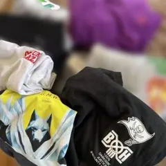 Supreme 紫ロングスリーブなど