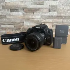 2025年最新】canon ds126151の人気アイテム - メルカリ