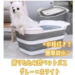 Item thumbnail for item b3a327cd-be15-4a98-b681-eb1ab13389f2