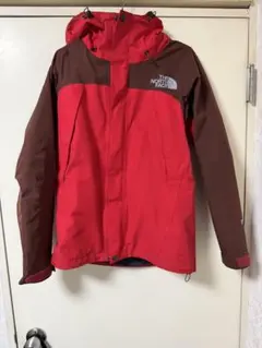 THE NORTH FACE マウンテンパーカー　ジャケット　sゴアテックス