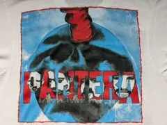 当時物 PANTERA 90s バンドTシャツ L / MINOR THREAT