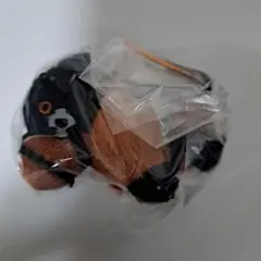 2025年最新】サラブレッドコレクションぷちぬいぐるみ5の人気