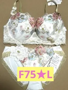 サルート 旧03グループ F75*L 2025年最新】サルート03の人気アイテム - メルカリ