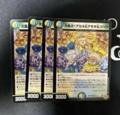 大集合 アカネ&アサギ&コハク