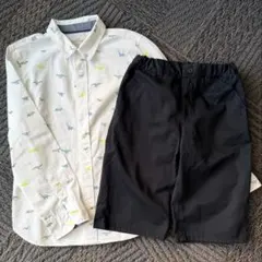 H&M 恐竜シャツ＋コムサ 半ズボン セット 140cm 【入学式にも】