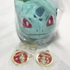 一番くじ ポケモン 30周年 フシギダネ ぬいぐるみ&メダル - メルカリ