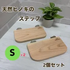 Item thumbnail for item be674923-c82f-4416-ba8d-4d7dafbc9112