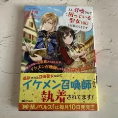 【171】ええ、召喚されて困っている聖女(仮)とは私のことです～魔力がないと追放