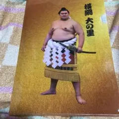 大の里 クリアファイル