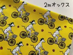 さかもっちゃん◆匿名配送です◆様　リクエスト　2点 まとめ商品