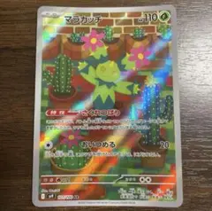 マラカッチ　ar