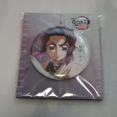 新品未開封 劇場版鬼滅の刃無限城編 胡蝶しのぶ 飾れる缶バッジ描き下ろしイラスト