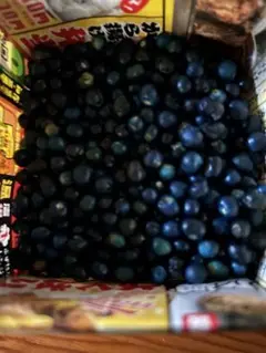 クサギの実　約90g 草木染め