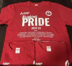名古屋ダイヤモンドドルフィンズ　2023-24 非売品Tシャツ Lサイズ×3着