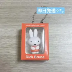 ミッフィー ミニチュアパッケージチャーム ガチャガチャ