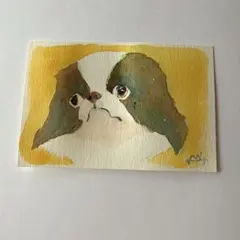狆の絵　アート　水彩画　原画　ポストカード