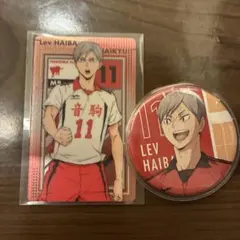 灰羽リエーフセット