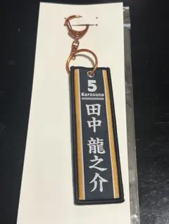 タイトーくじ ハイキュー G賞 フライトタグ 烏野 田中龍之介