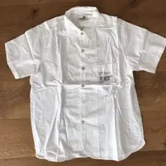 Item thumbnail for item 272d5621-08cf-4d41-bc40-18b94df3e6f0