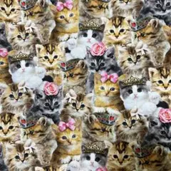 USAコットン　プリティーな猫ちゃん柄　タイムレストレジャー